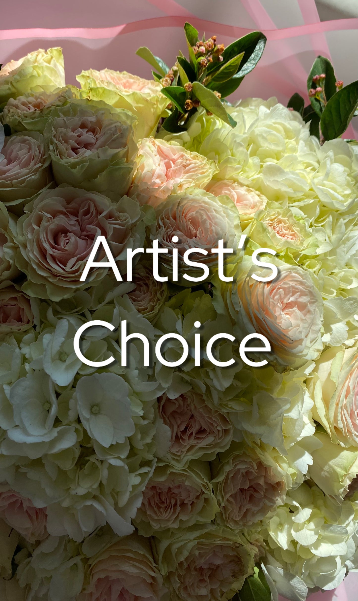 Artist's Choice